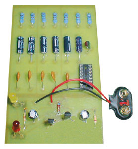 Chaney – Learn to Solder Kit with Flasher
