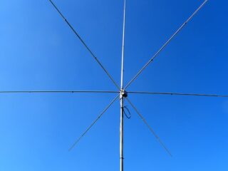 thumbnail_1000015455