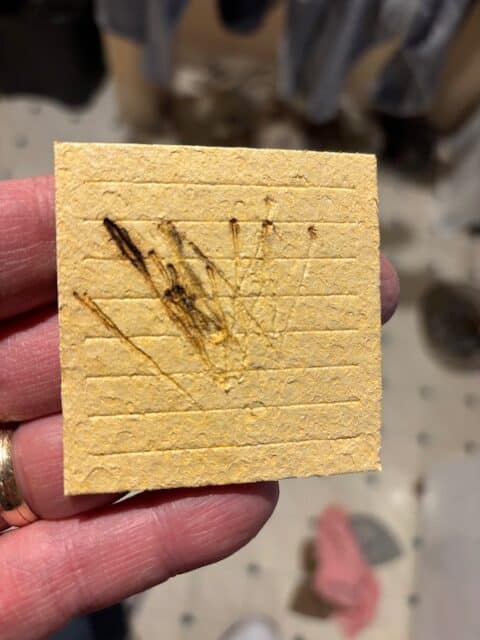 Weller 1010NA, Soldering Iron, like new